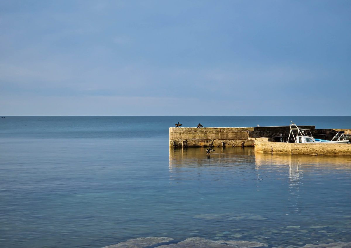 app degra umag