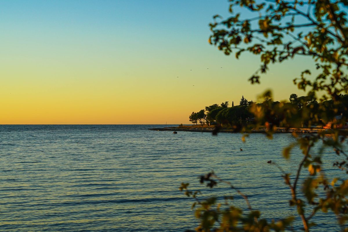 app degra umag